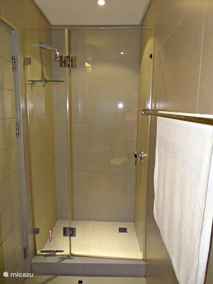 Badezimmer für das 3. Schlafzimmer oder als Gästetoilette mit Dusche, WC und Waschbecken