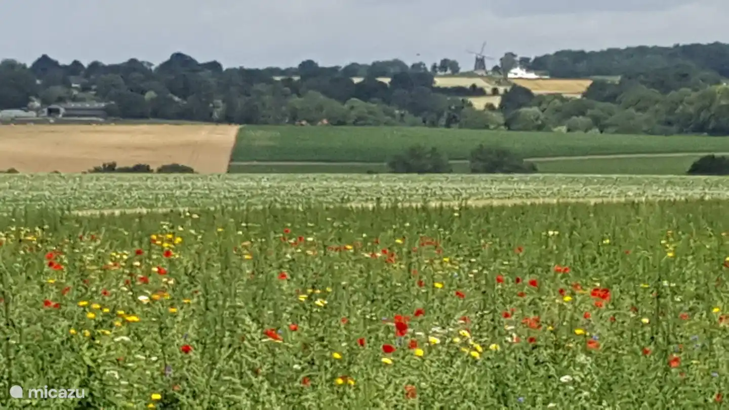 Zu Fuß vom Hinterausgang des Parks