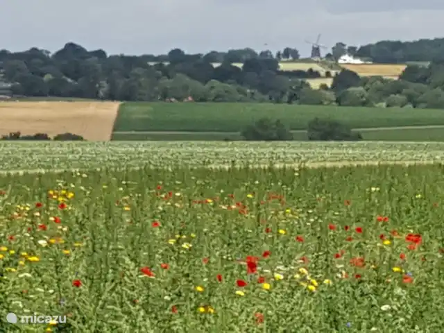 Bungalow de Koempel huren in Nederland, Limburg, Simpelveld - bungalow Wandelen vanuit de achteruitgang van het park