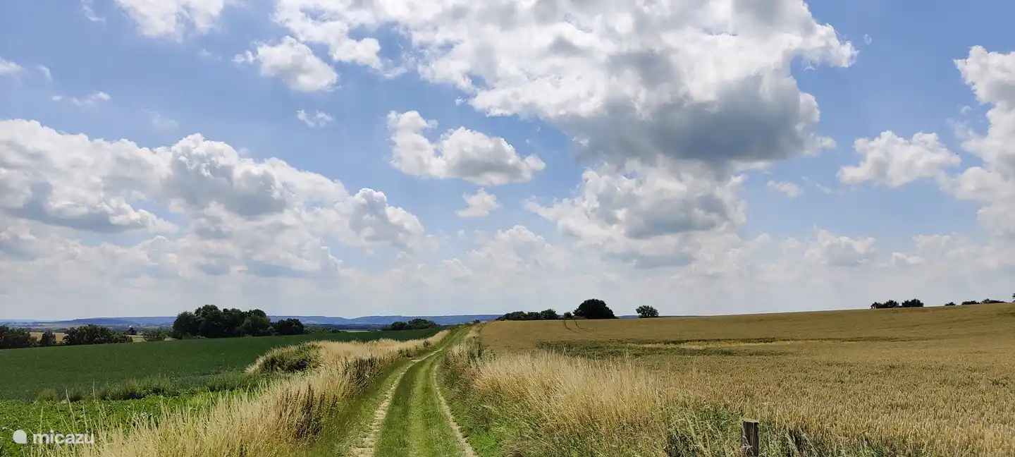 In der Nähe von Ubachsberg, wenige Kilometer von der Hütte entfernt.