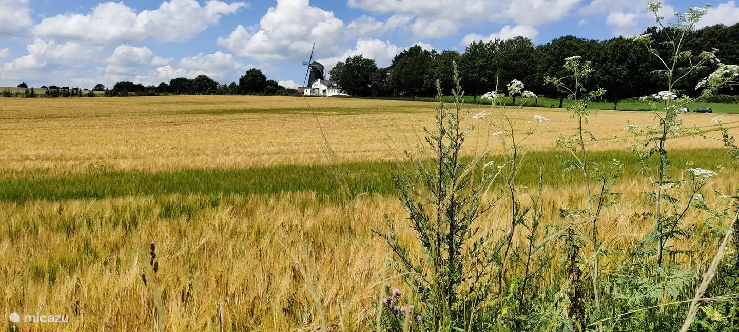 Schöne Aussicht in der Nähe von Ubachsberg
