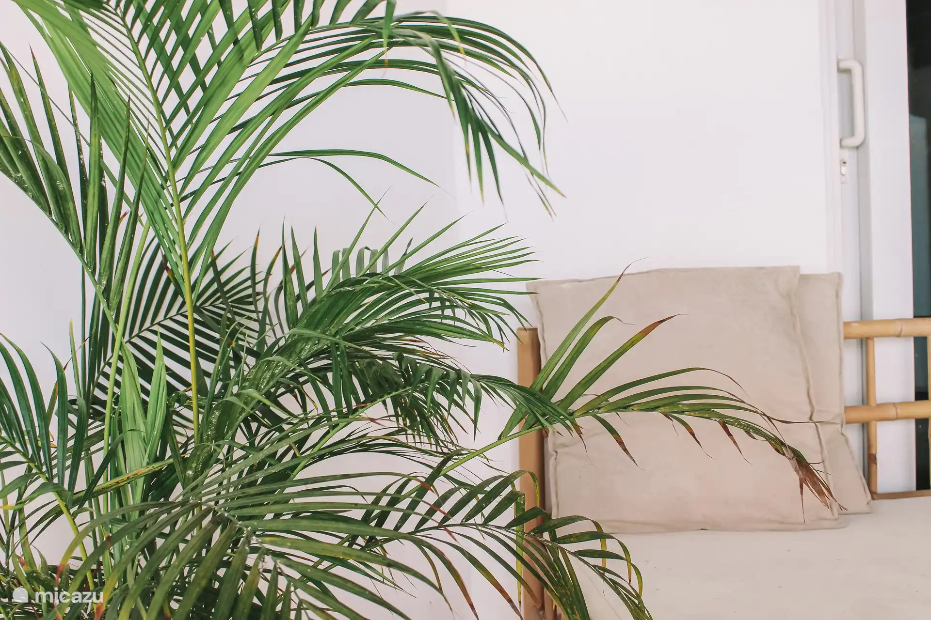 Die Terrasse der Wohnung.