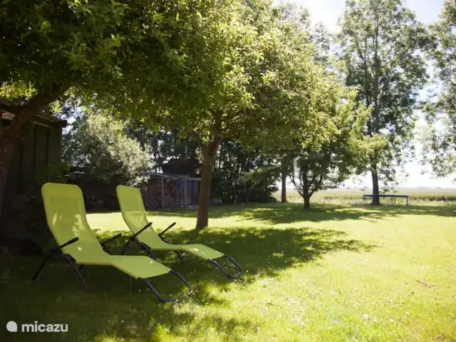 Ferme Cérès | Pays-Bas, Groningue, Nieuwolda - maison de vacances La cour arrière