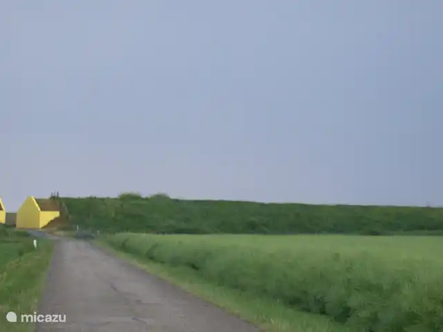 Ferme Cérès | Pays-Bas, Groningue, Nieuwolda - maison de vacances Le polder