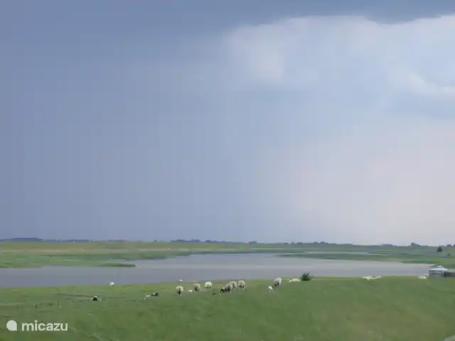 Ferme Cérès | Pays-Bas, Groningue, Nieuwolda - maison de vacances Le Dollard