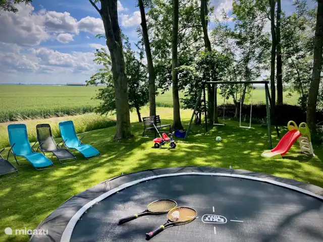 Ferme Cérès | Pays-Bas, Groningue, Nieuwolda - maison de vacances La cour arrière