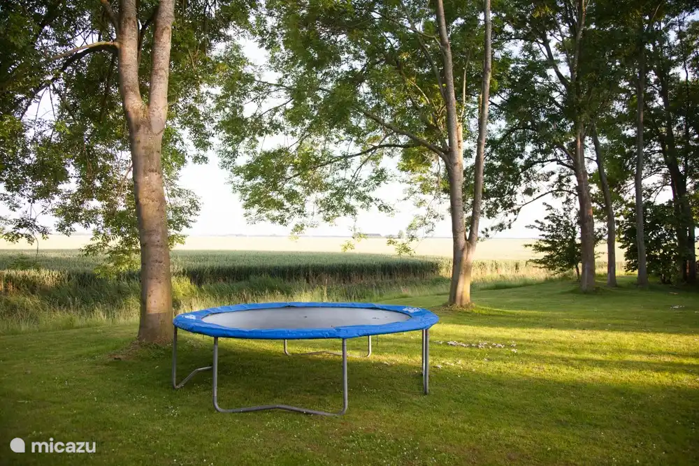 Hinterhof mit Trampolin