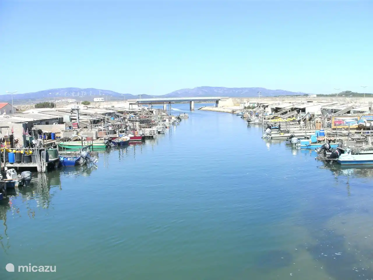 Austernzucht in Leucate