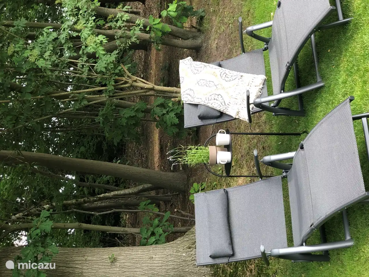 Am Rande unseres eigenen Waldes liegen und die Ruhe auf diesen neuen, komfortablen Relaxbetten genießen