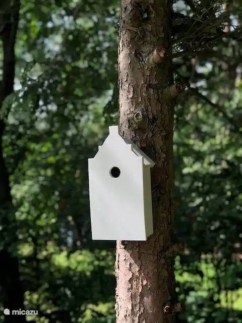 Viele verschiedene Vögel im Garten, aber auch Kaninchen und Eichhörnchen