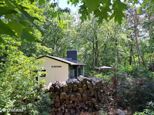 Het Holterhuuske | Pays-Bas, Overijssel, Holten - maison de vacances