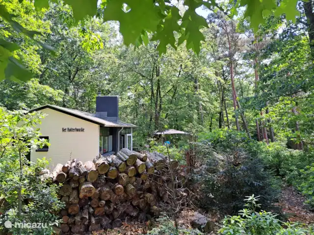 Het Holterhuuske | Pays-Bas, Overijssel, Holten - maison de vacances