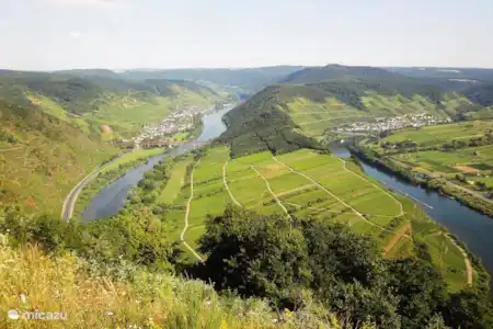 Vacation rental Germany, Moselle, Ediger-Eller bed & breakfast B&B Moselliebe- COMFORT ROOM balcony
