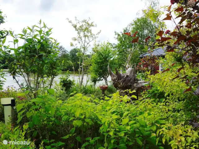 chalet huren in Nederland, Friesland, Oosterwolde – Vakantiehuis Goudmeer Tuin