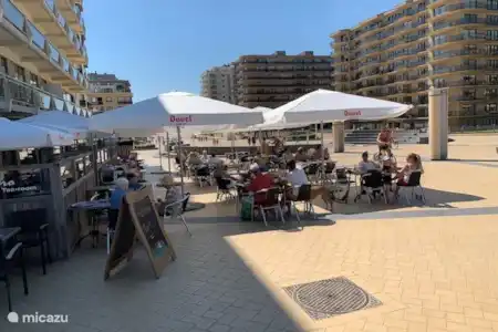 Vakantiehuis België, Belgische Kust, De Panne appartement Vakantie de Panne