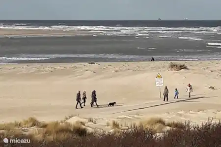 Vakantiehuis België, Belgische Kust, De Panne appartement Vakantie de Panne