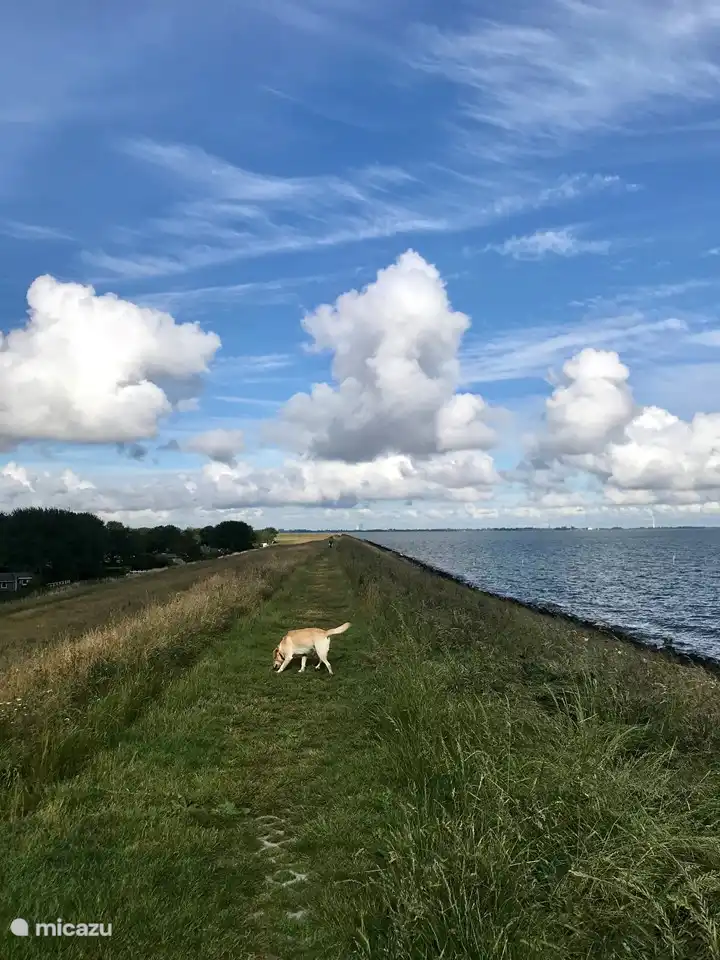 Dique con vistas hacia Medemblik