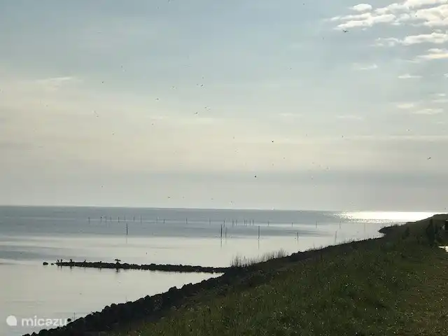 IJsselmeer