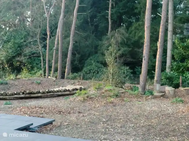 Boshuisje De Korhoender | Pays-Bas, Overijssel, Holten - bungalow