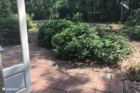 Vakantiehuis Nederland, Overijssel, Holten bungalow Boshuisje De Korhoender