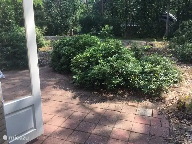 Boshuisje De Korhoender | Pays-Bas, Overijssel, Holten - bungalow