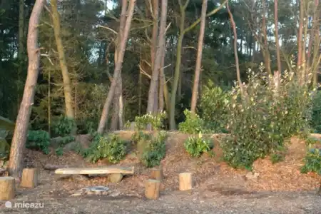 Vakantiehuis Nederland, Overijssel, Holten bungalow Boshuisje De Korhoender