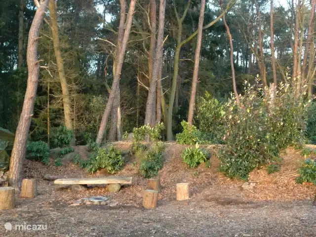 Boshuisje De Korhoender | Pays-Bas, Overijssel, Holten - bungalow