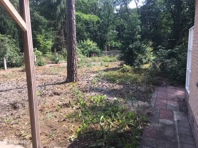 Boshuisje De Korhoender | Pays-Bas, Overijssel, Holten - bungalow