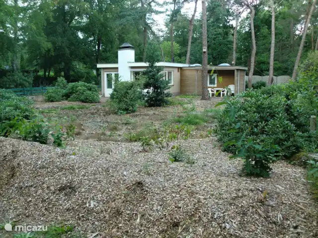 Boshuisje De Korhoender | Pays-Bas, Overijssel, Holten - bungalow