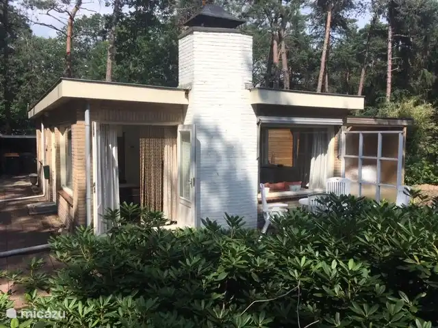 Boshuisje De Korhoender | Pays-Bas, Overijssel, Holten - bungalow