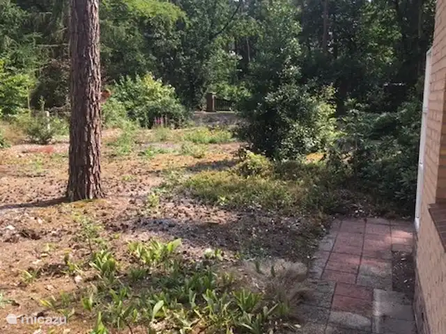 Boshuisje De Korhoender | Pays-Bas, Overijssel, Holten - bungalow