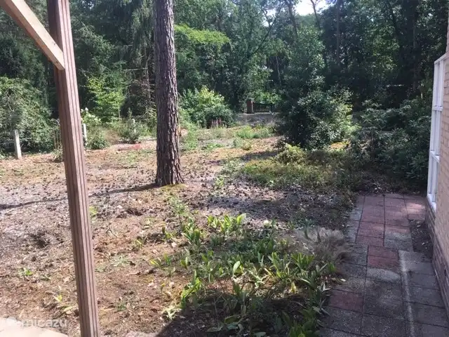 Boshuisje De Korhoender | Pays-Bas, Overijssel, Holten - bungalow