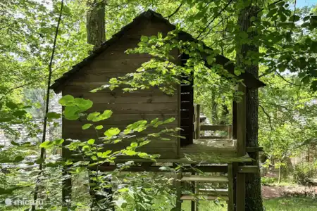 Vacation rental Belgium, Ardennes, Erezée chalet Le Loup