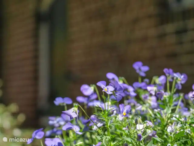 Het Reirinck, 14 pers.Het Voorhuis huren in Nederland, Gelderland, Groenlo - boerderij Landelijke omgeving