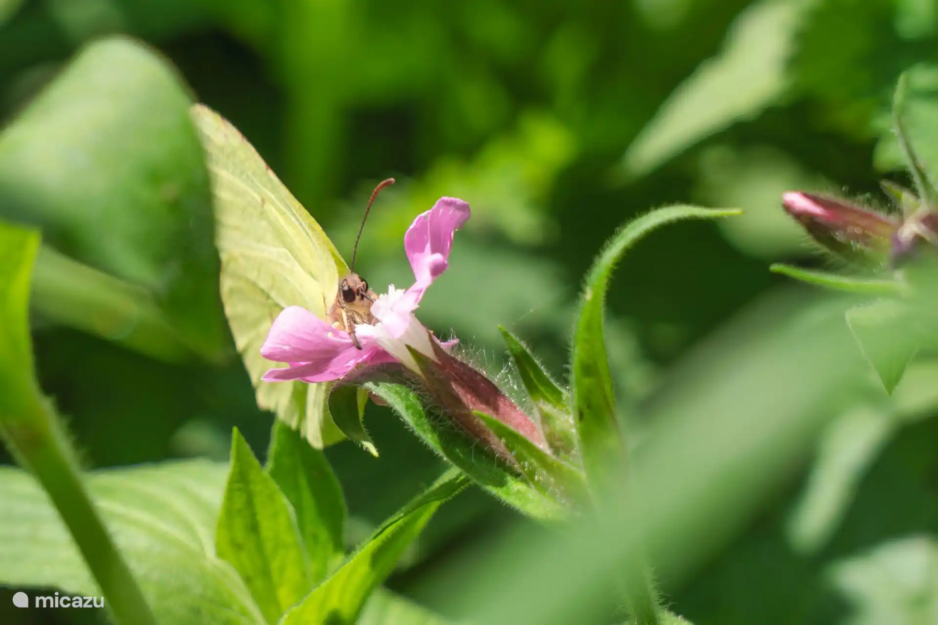 An verschiedenen Wander- und Radwegen gelegen