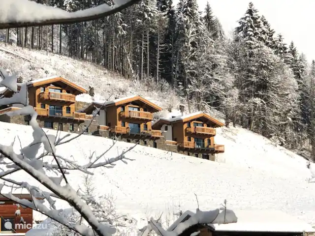 Casa Crouton en Austria, Salzburgo, Muhlbach - casa vacacional Casa Crouton en Austria, Salzburgo, Muhlbach - casa vacacional