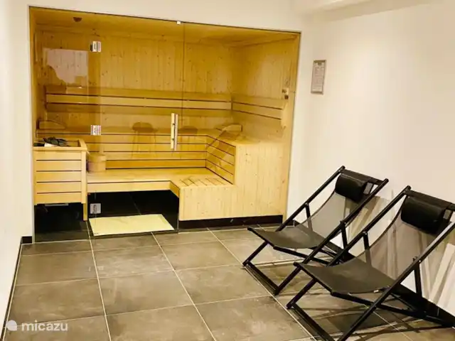 Casa Crouton en Austria, Salzburgo, Muhlbach - casa vacacional Sauna
