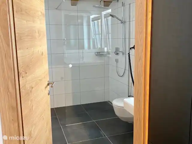 Casa Crouton en Austria, Salzburgo, Muhlbach - casa vacacional baño arriba