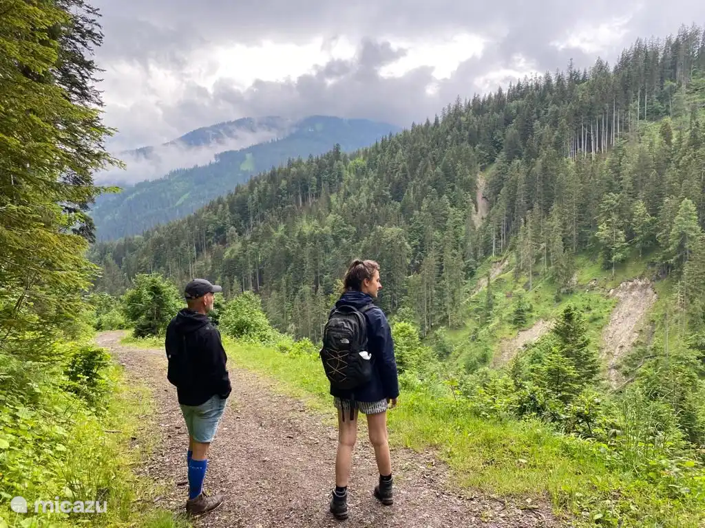 Viele schöne Spaziergänge in der Umgebung