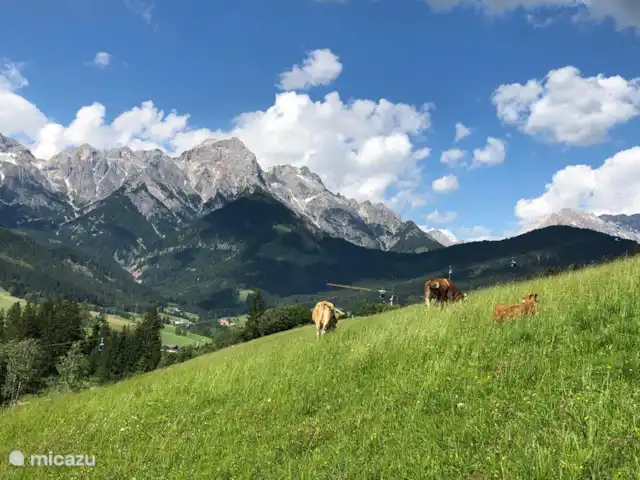 Casa Crouton en Austria, Salzburgo, Muhlbach - casa vacacional