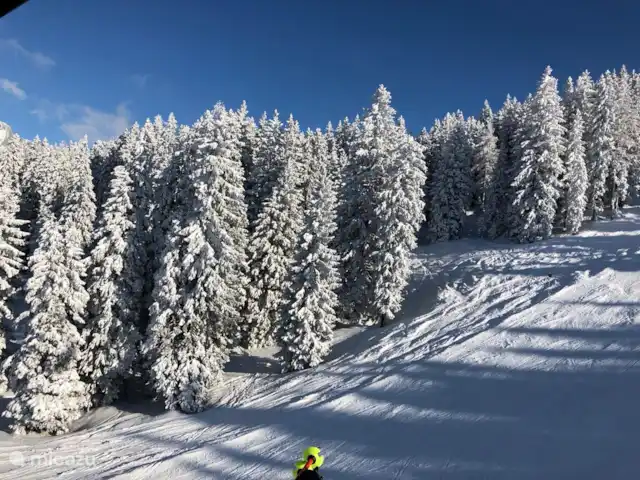 Casa Crouton en Austria, Salzburgo, Muhlbach - casa vacacional Nieve