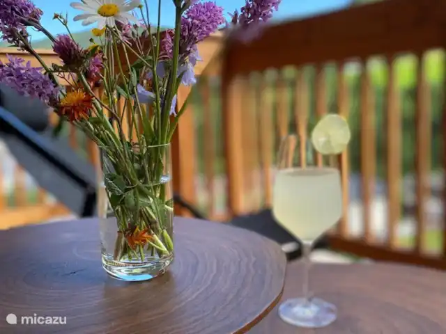 Casa Crouton en Austria, Salzburgo, Muhlbach - casa vacacional