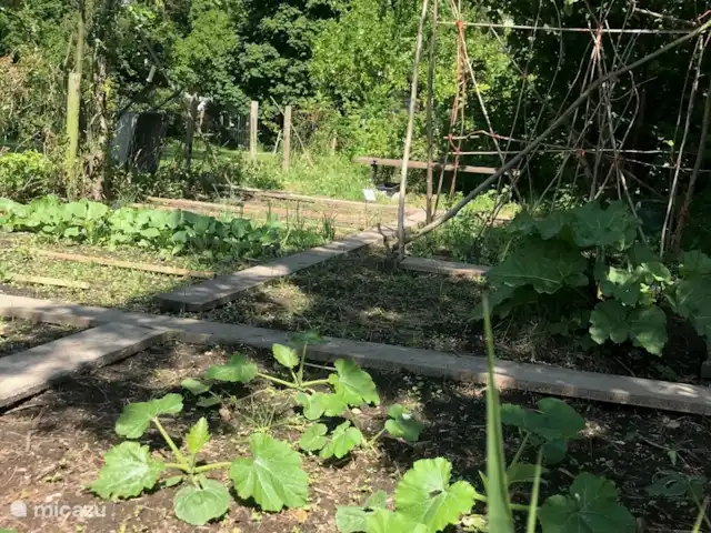 Location de Vacances Pays-Bas, Hollande du Nord, Andijk, maison de vacances - Maison du lac IJsselmeer 2 Potager en devenir