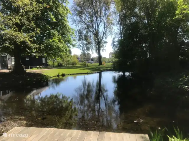 Location de Vacances Pays-Bas, Hollande du Nord, Andijk, maison de vacances - Maison du lac IJsselmeer 2 Jardin avec étang