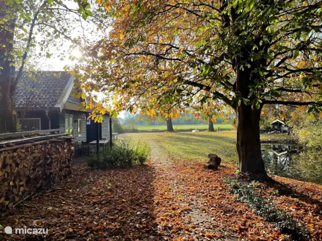 Location de Vacances Pays-Bas, Hollande du Nord, Andijk, maison de vacances - Maison du lac IJsselmeer 2