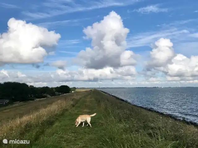 Location de Vacances Pays-Bas, Hollande du Nord, Andijk, maison de vacances - Maison du lac IJsselmeer 2 IJSSELMEER sur le Dijk de l'autre côté de la maison