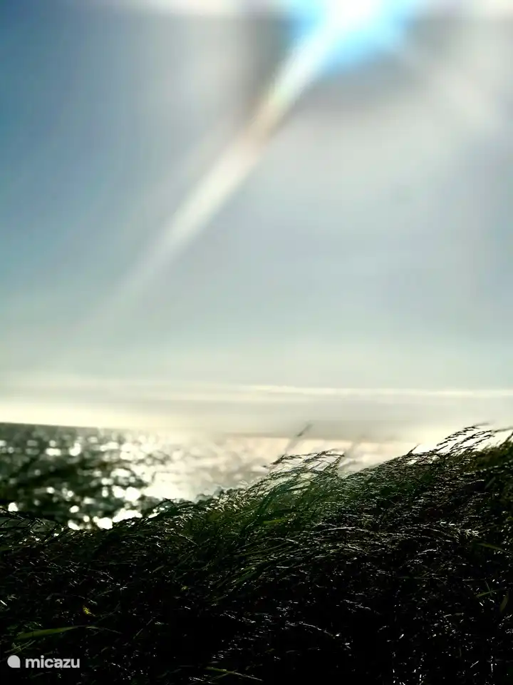 IJSSELMEER on the Dijk on the other side of the house