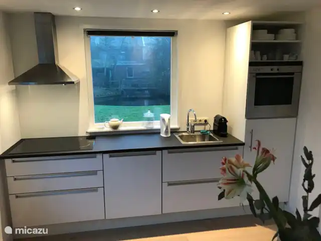 Location de Vacances Pays-Bas, Hollande du Nord, Andijk, maison de vacances - Maison du lac IJsselmeer 2 cuisine avec lave-vaisselle, plaques à induction, four, réfrigérateur avec compartiment congélateur et machine à café Nespresso