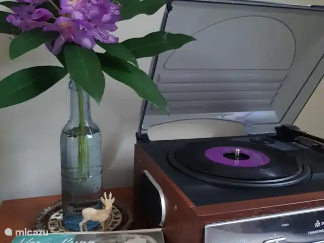 Location de Vacances Pays-Bas, Overijssel, Holten, maison de vacances - Maison forestière rétro 'De Verpoozing' Tourne-disque et disques disponibles pour l’ambiance ultime des années soixante