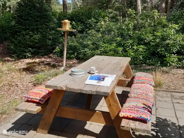 Location de Vacances Pays-Bas, Overijssel, Holten, maison de vacances - Maison forestière rétro 'De Verpoozing' N’est-ce pas agréable de prendre son petit-déjeuner ici au soleil ?